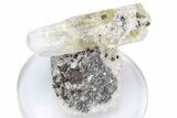 Calcite and Brassy Chalcopyrite on Dolomite - Missouri #241816-1